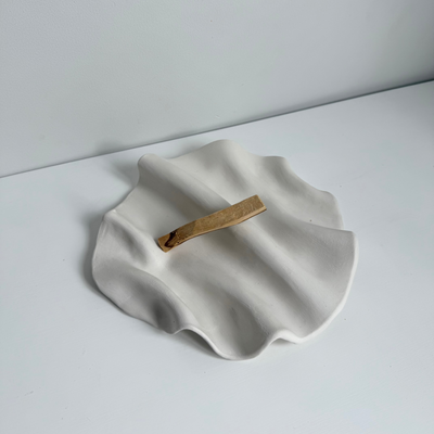 Palo santo smudging stick