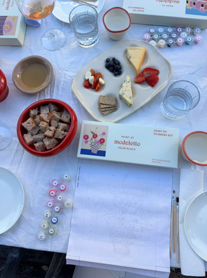 Plums in Aurora Paint By Numbers Kit